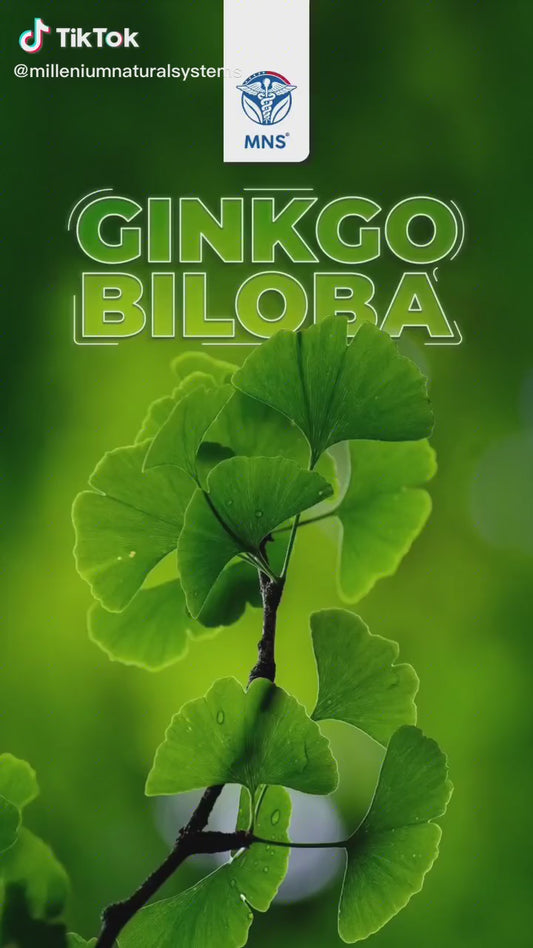 💚 GINKGO BILOBA 240 MG — SYSTEM NUTRITI